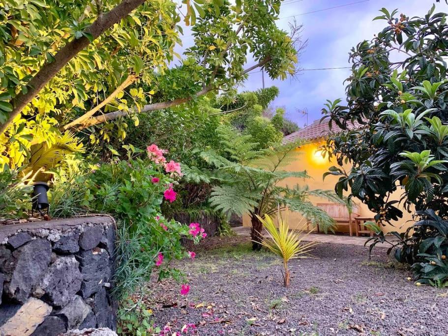 Rustic House La Montana Vila Breña Baja Exterior foto