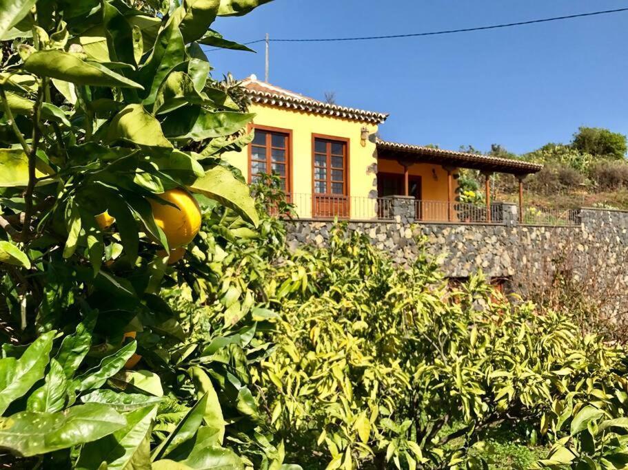 Rustic House La Montana Vila Breña Baja Exterior foto